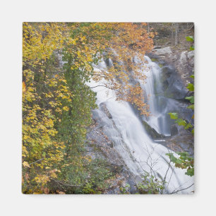 Bald River Falls Magneet