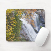 Bald River Falls Muismat (Met muis)