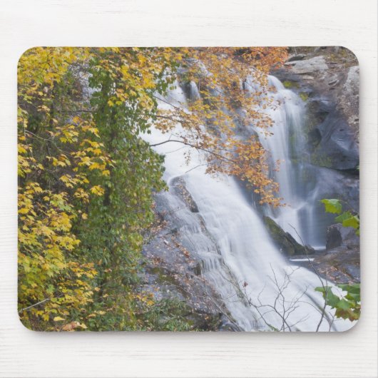 Bald River Falls Muismat (Voorkant)