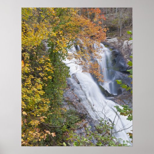 Bald River Falls Poster (Voorkant)