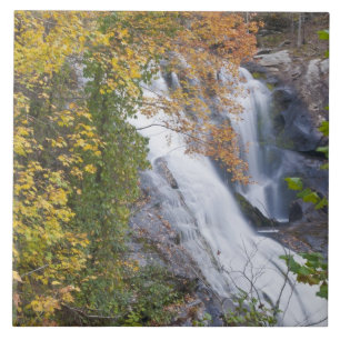 Bald River Falls Tegeltje