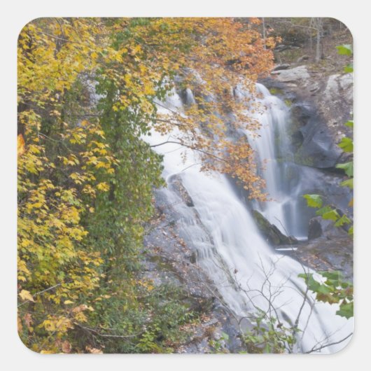 Bald River Falls Vierkante Sticker (Voorkant)