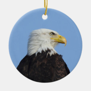 Baldenarend, in het wild levende dieren, vogels, k keramisch ornament