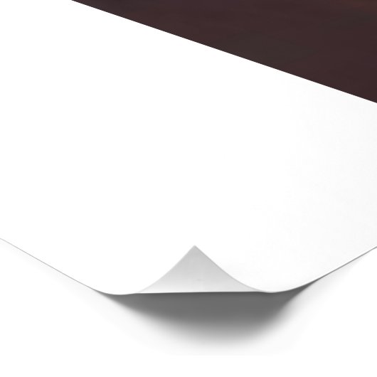 Baldur's Gate 3 Foto Afdruk (Hoek)