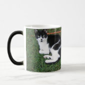 Baldwin Boerderij Morphing Mok (Links)