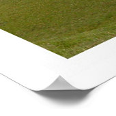 Baldy in februari poster (Hoek)