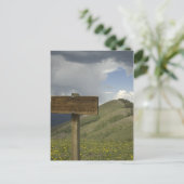 baldy piek spoor briefkaart (Staand voorkant)