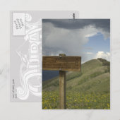baldy piek spoor briefkaart (Voorkant / Achterkant)