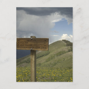 baldy piek spoor briefkaart