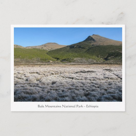 Bale Mountains Ethiopië Briefkaart (Voorkant)