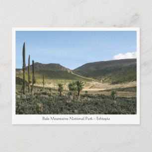 Bale Mountains Ethiopië Briefkaart