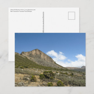 Bale Mountains Ethiopië Briefkaart