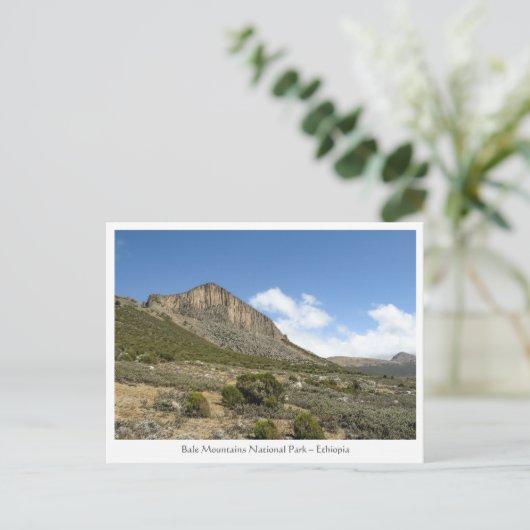 Bale Mountains Ethiopië Briefkaart (Staand voorkant)