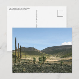 Bale Mountains Ethiopië Briefkaart