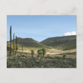 Bale Mountains Ethiopië Briefkaart (Voorkant)