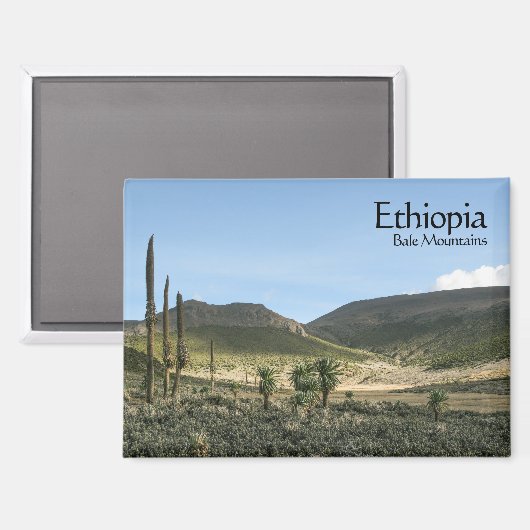 Bale Mountains Ethiopië Magneet (Voorkant / Achterkant)