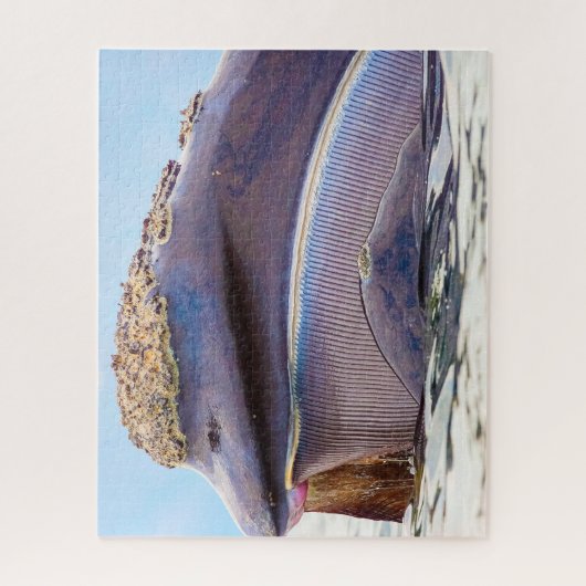 Baleen Whale Legpuzzel (Verticaal)