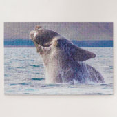 Baleinwalvis Legpuzzel (Horizontaal)