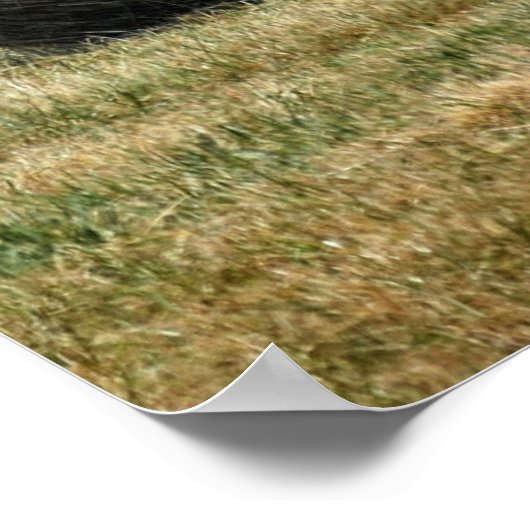 Bales van Hay Poster (Hoek)