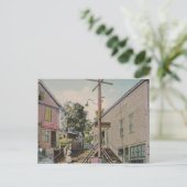 balgblazen herfsten , vermont  trappen , postkaart (Staand voorkant)