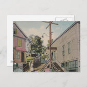 balgblazen herfsten , vermont  trappen , postkaart (Voorkant / Achterkant)