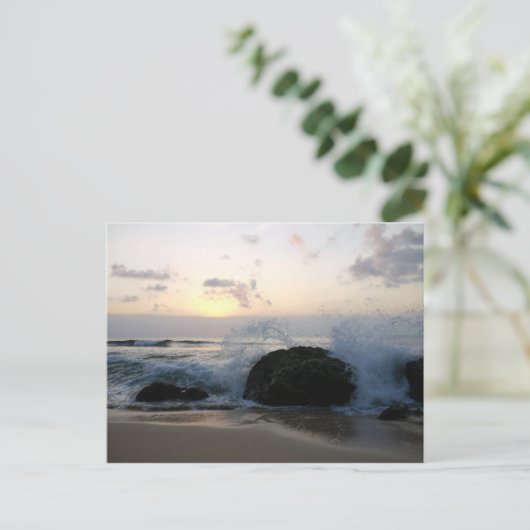 balgolven briefkaart (Staand voorkant)