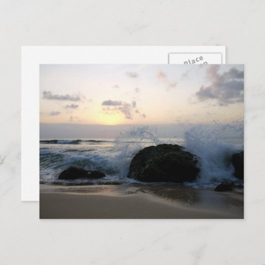 balgolven briefkaart (Voorkant / Achterkant)