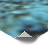 Bali Clownfish Poster (Hoek)