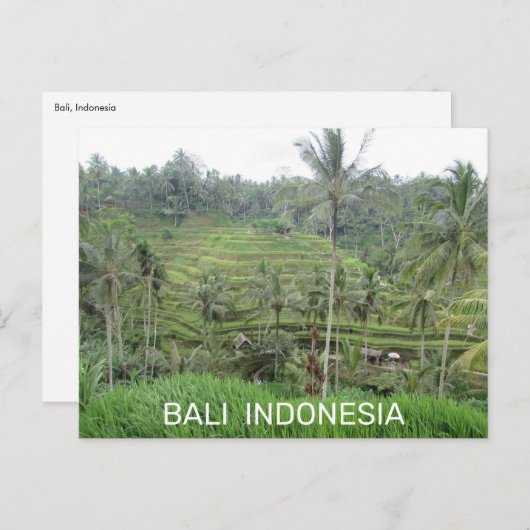 Bali Indonesia Briefkaart (Voorkant / Achterkant)