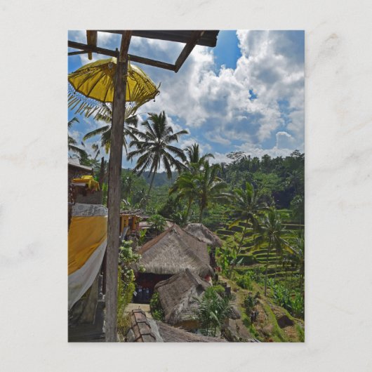 Bali Indonesia Terraced Rice Fields Briefkaart (Voorkant)