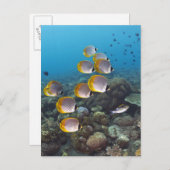 Bali, Indonesië Briefkaart (Voorkant / Achterkant)