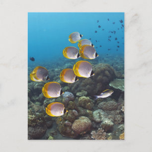 Bali, Indonesië Briefkaart