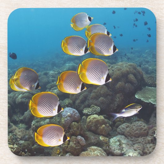 Bali, Indonesië Onderzetter (Voorkant)