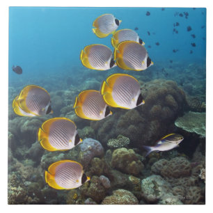 Bali, Indonesië Tegeltje