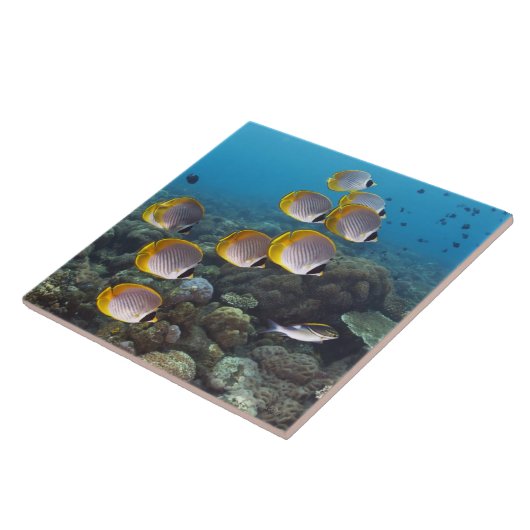 Bali, Indonesië Tegeltje (Zijkant)