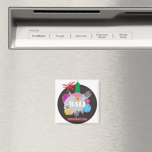 Bali Kleurrijk Magneet (Insitu (Vaatwasser))