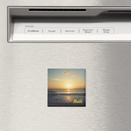 Bali magneet (Insitu (Vaatwasser))