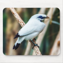 Bali Mina Bird Mousepad