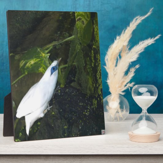 Bali Mina Fotoplaat (Zijkant)