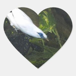 Bali Mina Hart Sticker