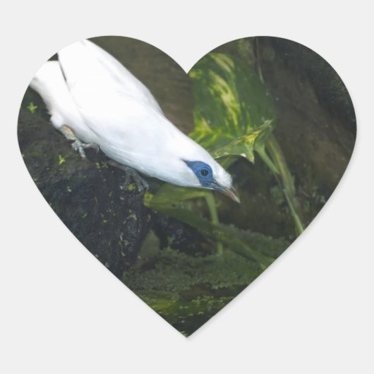 Bali Mina Hart Sticker (Voorkant)