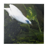 Bali Mina Tegeltje (Voorkant)