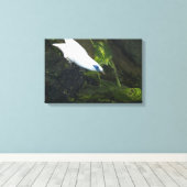 Bali Myna Canvas Afdruk (Insitu (Houten vloer))