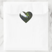 Bali Myna Hart Sticker (Tas)