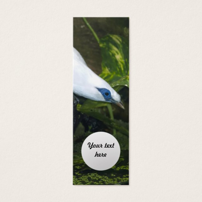 Bali Myna Mini Visitekaartjes (Voorkant)