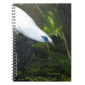 Bali Myna Notitieboek (Voorkant)
