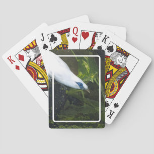 Bali Myna Pokerkaarten