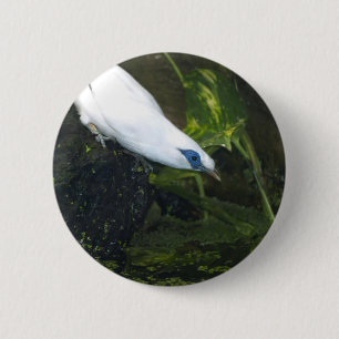 Bali Myna Ronde Button 5,7 Cm