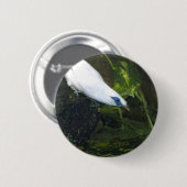 Bali Myna Ronde Button 5,7 Cm (Voorkant /achterkant)