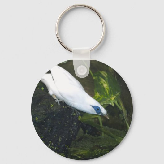 Bali Myna Sleutelhanger (Voorkant)